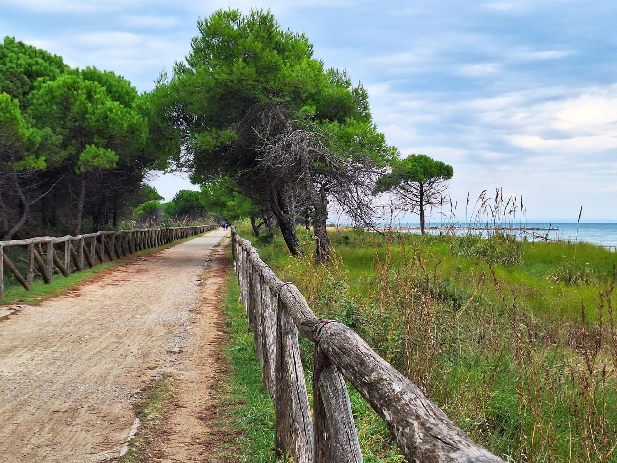 Renovated Flat Next To The - Beahost Bibione